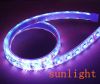 Sell Silicon Gel LED Strips(SUN-SG50P060-12YEA)