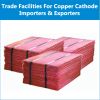 Get LC, SBLC, BG & BCL for Copper Cathode Importers & Exporters
