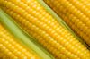 Yellow Corn