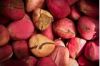 Kola Nuts