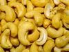 Cashew Nuts