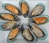 Boiled mussel meat(skype:hjx4431)