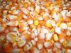  Maize | Maize Exporter | Corn Grain Seller | Maize Buyer | Bulk Maize Grain Importer | Corn bean Buyer | Corn bean Wholesaler | Corn Grain Manufacturer | Best Quality Corn Grain | Cheap Maize Supplier | Low Price Corn | Yellow Corn | White Cron | Baby Ma