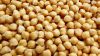 Chickpeas