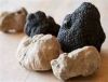 WHITE AND BLACK TRUFFLES