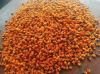 South African Strelitzia Nicolai Seeds