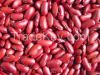 Red /White Kidney Beans