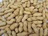 Peanuts and groundnuts of all sorts available.