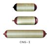 Sell CNG cylinder type 2 CNG2-G-325-75-20B