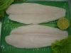 Pangasius Fillet