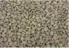 Export Coffee Beans | Arabica Coffee Beans Suppliers | Robusta Coffee Beans Exporters | Coffee Bean Traders | Wholesale Instant Coffee | Buy Coffee Beans | Bulk Coffee Bean | Green Coffee Bean Buyer | Low Price Roasted Coffee Bean | Import Coffee Bean | C