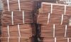 Sell copper cathode 99.9%min best quality