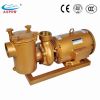 Sell Durable Copper Swimming Pool Pumps, Water Pumps