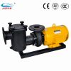 Sell Cast Iron Swimming Pool Pumps & Water Pumps