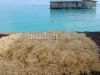 Dried Seaweed (Sea Bird-nest) Wholesales