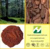 99% Pine bark extract (Anti-aging, anti-cancer)