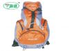 Mountaineering bag