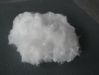 polyester staple fiber