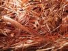 Copper Wire Scraps Suppliers | Copper Scrap Exporters | Copper Scrap Manufacturers | Cheap Copper Scrap | Wholesale Copper Scraps | Discounted Copper Scrap | Bulk Copper Scraps | Copper Scrap Buyer | Import Copper Scrap | Copper Scrap Importers | Copper S