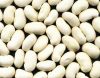 Sell all kinds of beans with good quality and cheap price