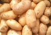 Sell Price advantage and quality Dutch potatoes