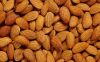 Almond Nuts And other Nuts For Sale