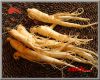 Sell Ginseng Extract