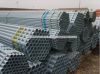 Sell Galvanized And Black Erw Pipe