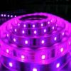 Sell LED Strip Light