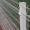 Sell Wire Mesh Fence