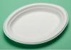 Sell recycling compostable 10 inch oval paper plate