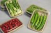Sell biodegradable supermarket tray, meat tray, fruit tray