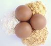 whole and egg yolk Powder for sell