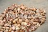 Betel Nuts for sell