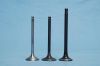 Sell engine valves for FLAT