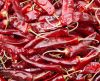 Sell Sweet paprika pods