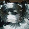 Sell Electro Galvanized Iron Wire