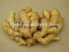 Sell  fresh ginger