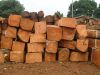 SELL KOSSO WOOD