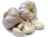 Fresh Garlic, Frozen Garlic, Dehydrated Garlic, Powder Garlic Suppliers