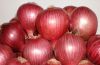 Sell  Indian Red Onions/ Fresh Bangalore Rose Onions