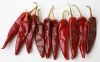 Red chili for sale