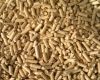 Sell wood pellet