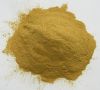 Sell Astragalus Extract