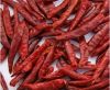 Sell Red Chilli