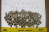 Moringa seeds