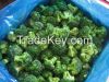Frozen Broccoli from Fresh raw material
