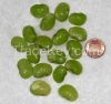 Large Lima Beans (Alubias)