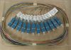 Sell SC 12 Core Ribbon Cable Fiber Pigtail