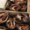 SMOKED CATFISH